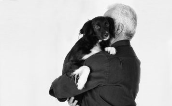 De ce iubesc animalele oamenii?(partea II)